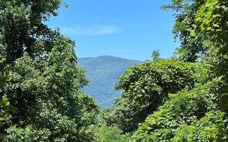 101 Lories Mtn Dr, Hayesville, NC 28904