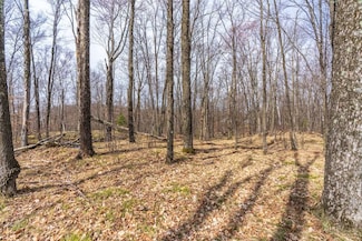 Lot# 11 Tarin Ln, Russell, WI 54435