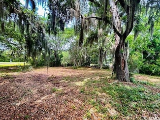 258 Bonnyneck Dr, Georgetown, SC 29440