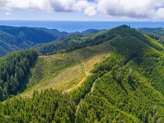 0 Rd Unit 24397732, Yachats, OR 97498