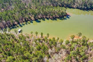 1590 Treasure Cove, Tignall, GA 30668