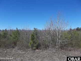 TBD Boat Ramp Rd Unit Lot 2, Hertford, NC 27944