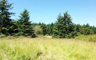 0 Bayshore Rd, Lopez Island, WA 98261