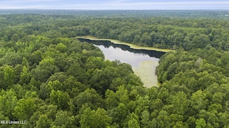 00 Tom Chance Rd, Poplarville, MS 39470