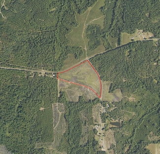 0 Pineville Rd, Buena Vista, GA 31803