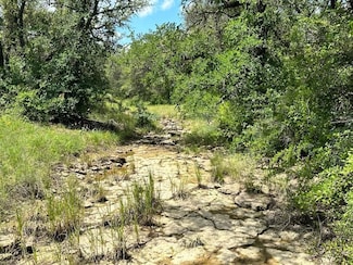 0 Farm To Market Road 2492, Lake Brownwood, TX 76801