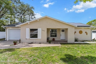 12204 Ronald St, Spring Hill, FL 34609