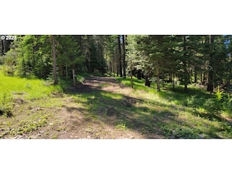 0 Chief Joseph Loop Rd, Joseph, OR 97846