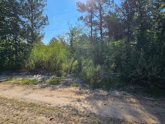 TBD Alabama Dr, Huntsville, TX 77320