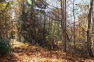 unknown Silly Ridge Rd, Scaly Mountain, NC 28775