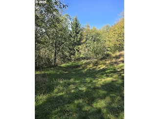 0 2500 Rd Unit 645616865, Toutle, WA 98649