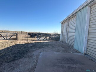 1559 New Mexico 267, Floyd, NM 88188