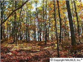 7 Blowing Cave Rd, Gurley, AL 35748