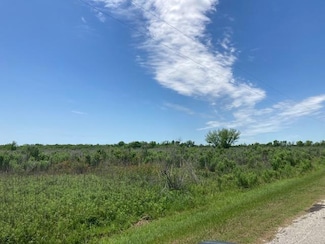 0 CR 126 Old Van Vleck Rd, van Vleck, TX 77482