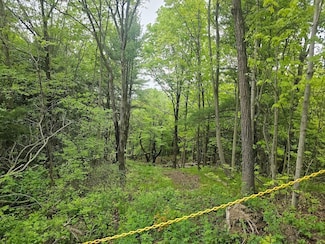 2049 State Route 245, Naples, NY 14512