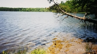 TBD Wildwood Lake Dr Unit Lots M & N, Iron River, MI 49935