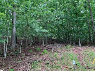 00 N Foxglove Rd, Chickasaw Point, SC 29693