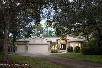 15411 Vanessa Ln, Brooksville, FL 34604