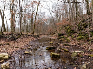 0 Shelter Branch Rd, Cumberland Furnace, TN 37051