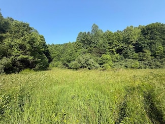 1 Sycamore Fork Rd, Salyersville, KY 41465