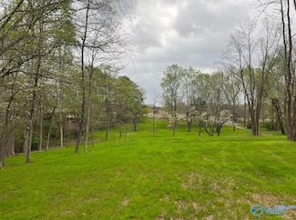 617 Alabama St, Killen, AL 35645