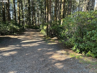 000 Cape Ferrelo, Brookings, OR 97415