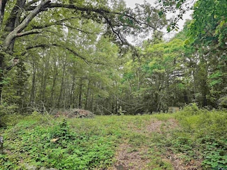 125 Jenkins St, Henderson, TX 75652