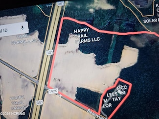 Lot C U S 301, Elm City, NC 27822