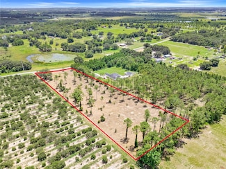 0 S Dewey Robbins Rd, Howey In the Hills, FL 34737