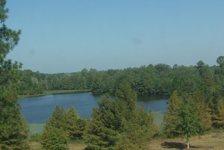 992 Georgia 30, Alamo, GA 30411