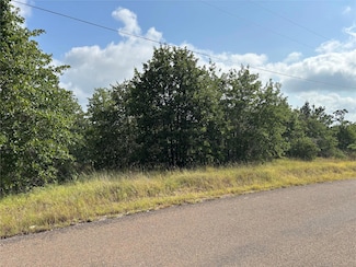 101 Homonu Ct, Bastrop, TX 78602