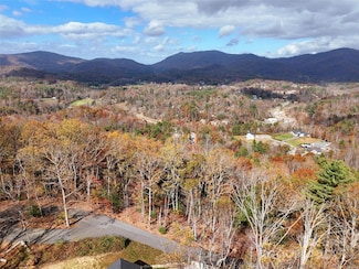 14 Pheasant Ridge Rd Unit 14, Fairview, NC 28730