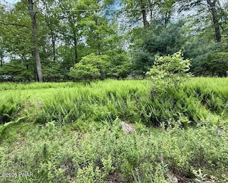 LOT 359 Panda Rd, Dingmans Ferry, PA 18328