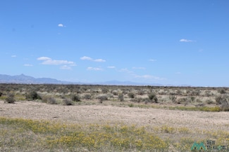 0 Piedras Rd SE Unit 20231677, Deming, NM 88030