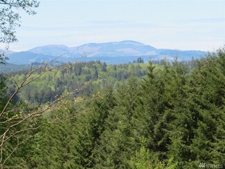 0 State Route 506 Unit 1187185, Vader, WA 98593