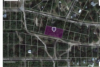 3917 E Peggy St, Hernando, FL 34442