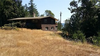 201 Mount Jupiter Rd, Brinnon, WA 98320