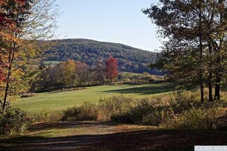0 Craryville Rd, Hillsdale, NY 12529