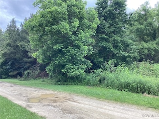 TBD County Line Rd, Disputanta, VA 23842