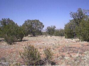 58640 N Vidrio, Seligman, AZ 86337