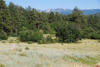 47 U S 84, Pagosa Springs, CO 81147