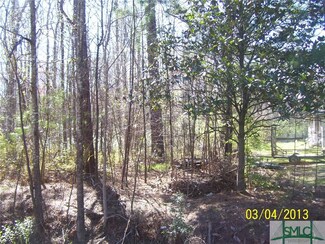6.7 ac Chevis Rd, Savannah, GA 31419