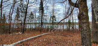 Parcel B Ticonderoga Trail, Hackensack, MN 56452