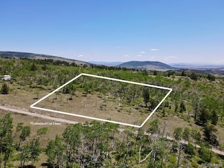 74 Forest Dr, Fairplay, CO 80440