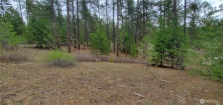 17 Spur Rd, Tonasket, WA 98855