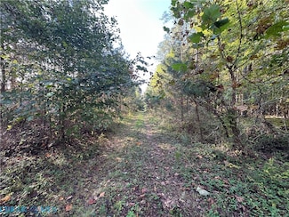 00 Plainview Dr, Saluda, VA 23149