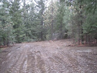 0 Highland Lp Unit 721902, Ronald, WA 98940