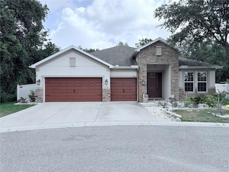 6456 Doe Path Ct, Wesley Chapel, FL 33545