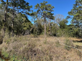 249 15th St, Apalachicola, FL 32320