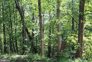 1507, 1505, 1503, 15 Summit Dr, Bull Run Mountain Estates, VA 20169